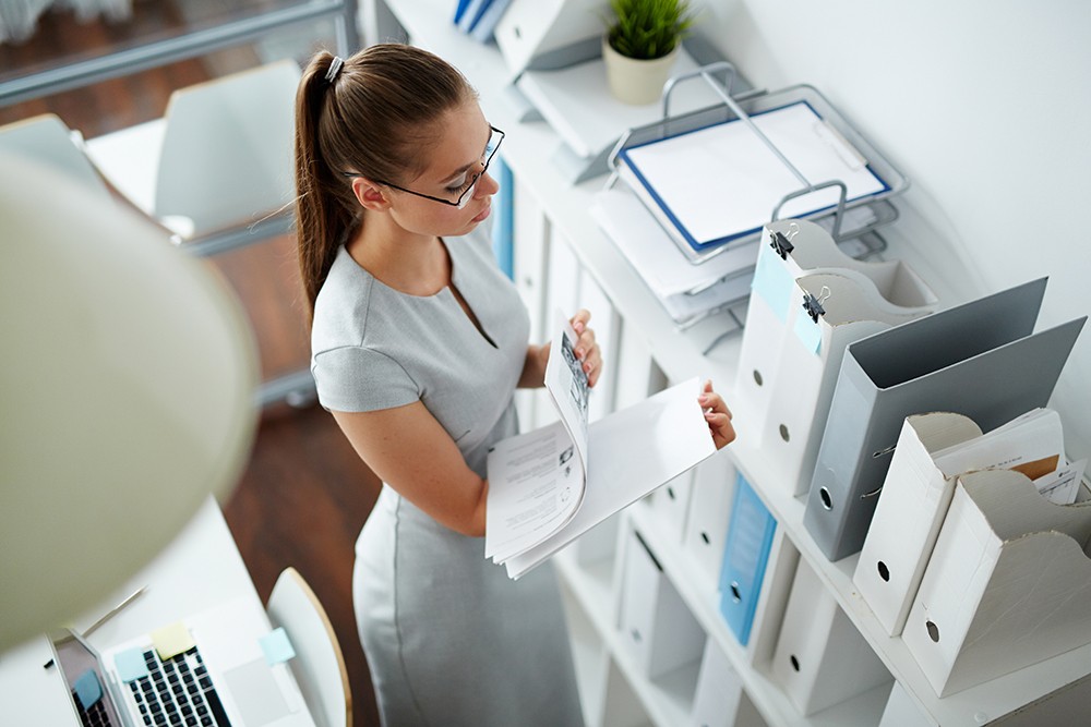 Document controller process manager